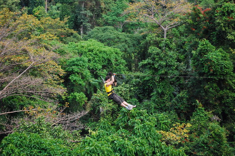 Thailand, Pattaya, Flight of the Gibbon